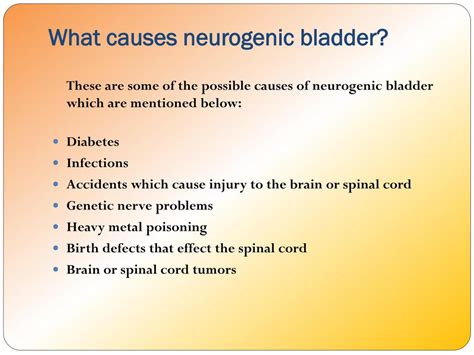 PPT - Neurogenic Bladder: Causes, Symptoms, Daignosis, Prevention and ...