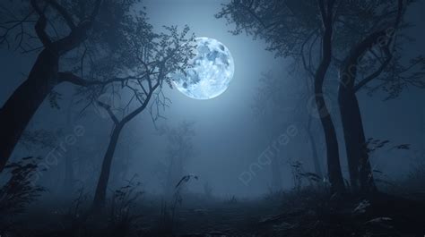 Moonlit Mystical Forest A 3d Render Of A Foggy Night Background, Scary ...