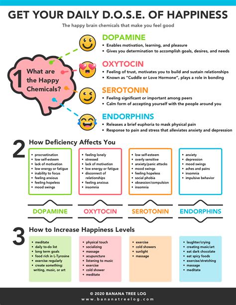 The happy brain chemicals that makes you feel good – Artofit