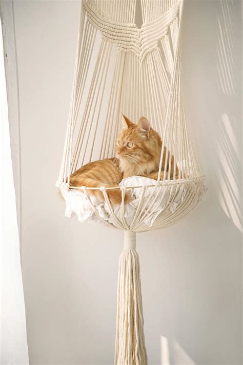 What Kitty Wouldn't Love One Of These Hanging Macrame Cat Hammocks?