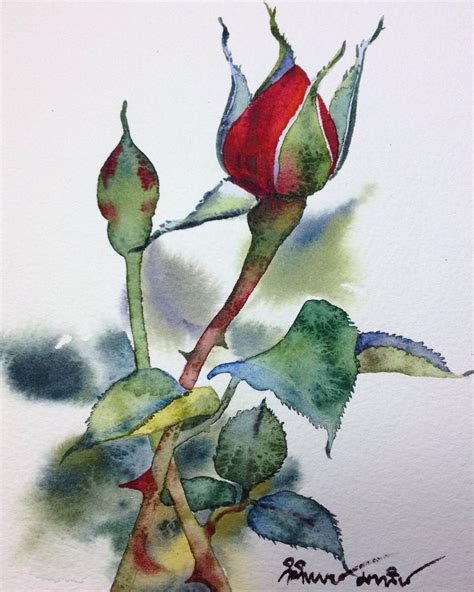 ️ ️ ️#flowers #roses #aquarelle #aquarius #art #artists #waterblog # ...