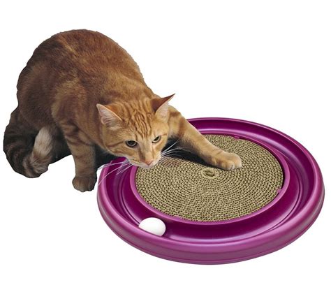 The Best Interactive Cat Toys For Your Clever Active Kitty