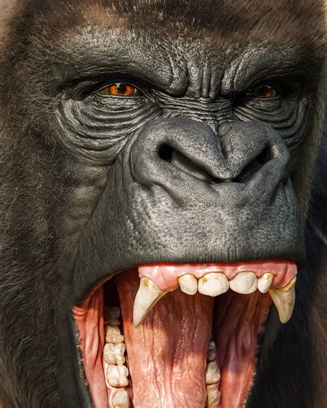 Angry Gorilla - Finished Projects - Blender Artists Community