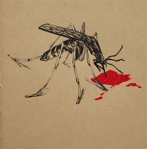 drawing of mosquito | Mosquito drawing, Drawing illustrations, Drawings