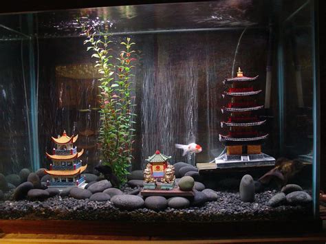 Goldfish Tank | Goldfish tank, Fish aquarium decorations, Goldfish aquarium