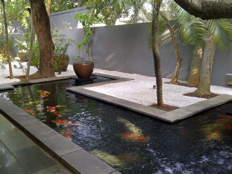 Contemporary Garden Pond Design Ideas