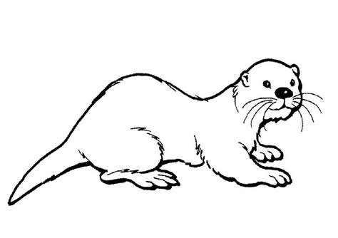 Hairy Nosed Otter Coloring Page - Free Printable Coloring Pages for Kids