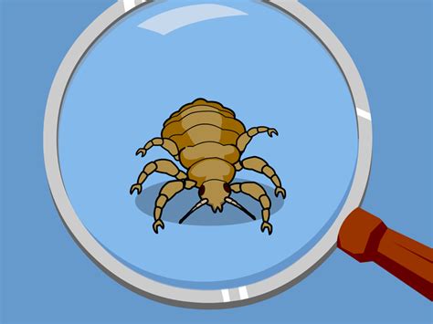 Louse clipart 20 free Cliparts | Download images on Clipground 2023