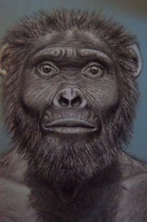 Australopithecus garhi is a gracile australopithecine species whose ...