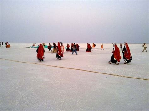 Know about India's salt desert, Great Rann of Kutch | India News – India TV