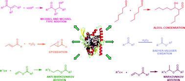 Hydrolases: catalytically promiscuous enzymes for non-conventional ...