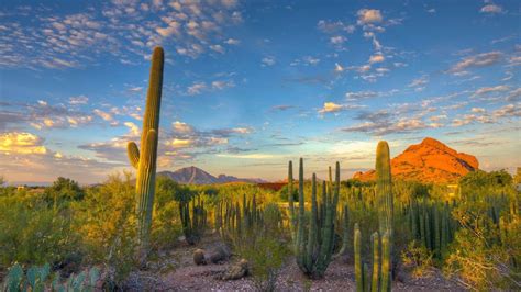 Arizona Desert 4K Wallpapers - Top Free Arizona Desert 4K Backgrounds ...