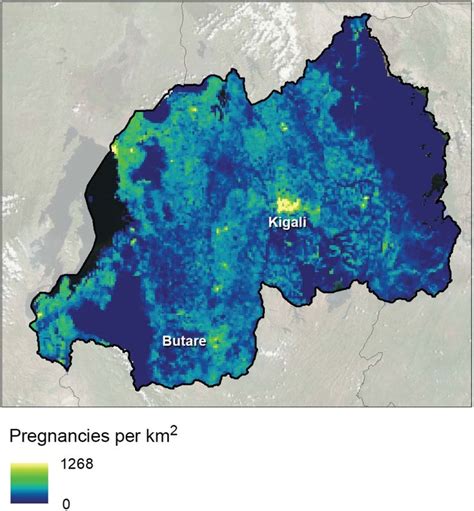 Population density map of pregnant women in Rwanda (numbers per km 2 ...