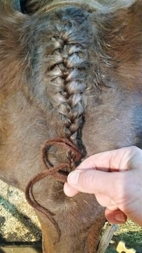 FIVE SECRETS FOR FRENCH BRAIDING THE FORELOCK - Braid Secrets