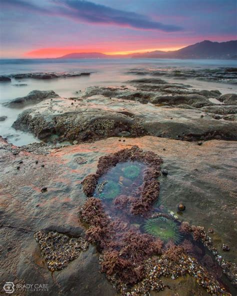 Tide pools at The Cliffs Resort, Pismo Beach, California - photo ...