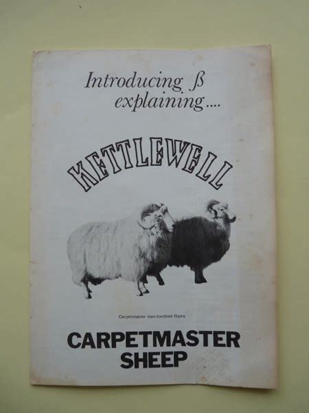 Woolshed 1: New Zealand Sheep Breeds - the Carpetmaster