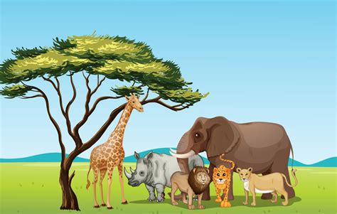 Grasslands clipart 20 free Cliparts | Download images on Clipground 2024