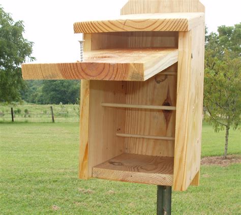 roosting boxes | roosting box with door open | Bird house plans, Bird ...