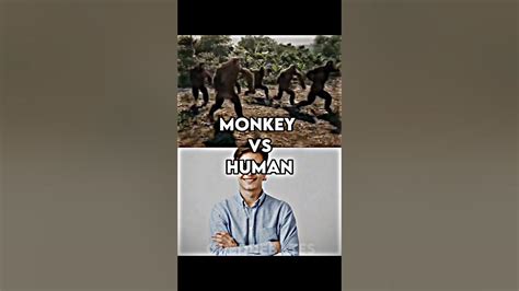 Monkey Vs Human - YouTube