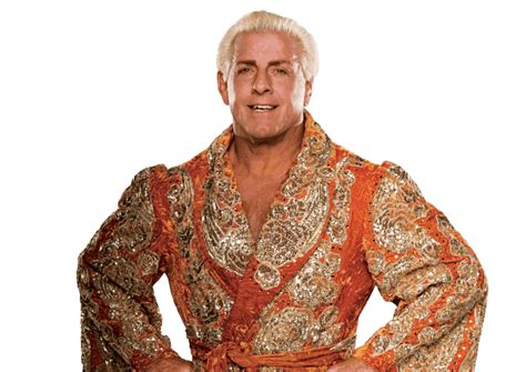 Ric Flair: Profile, Career Stats, Face/Heel Turns, Titles Won ...