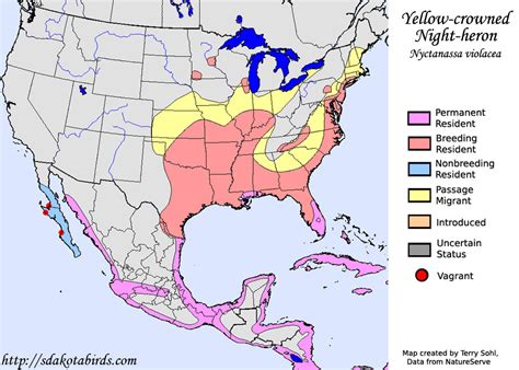 Yellow-crowned Night-heron - Species Range Map