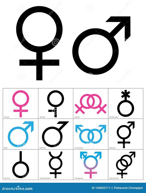 Gender Symbols, Linear Black, Blue and Pink Colour Icons of Gender ...