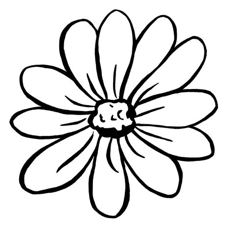 How to Make a Flower Drawing {5 Easy Steps}! - The Graphics Fairy