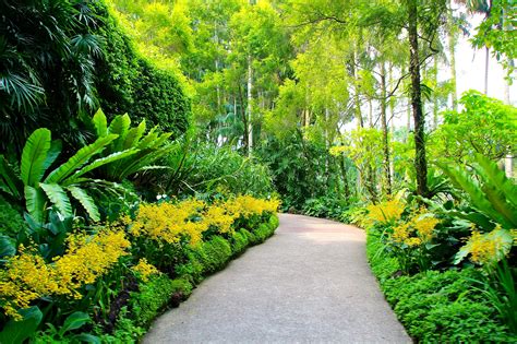 singapore, botanic gardens, walking paths Wallpaper, HD Nature 4K ...