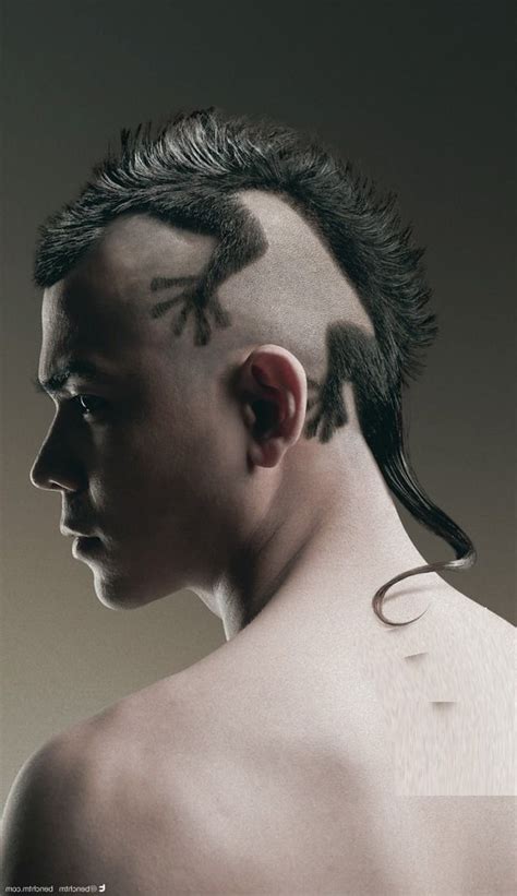 lizard-haircut-1-r | Jeff Neal | Flickr