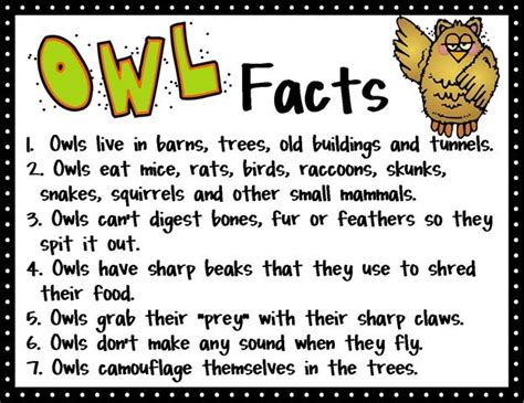 Mrs. Bumgardner's 1st Grade Class: Creatures of the Night | Owl facts ...