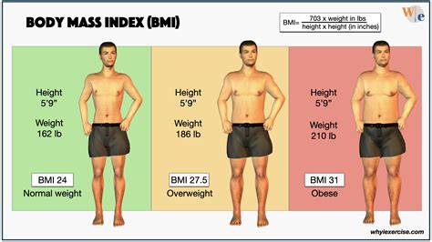 What Are The Body Mass Index (BMI) Standards For Overweight, 48% OFF