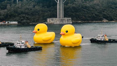 Florentijn Hofman’s giant Rubber Duck is migrating back to Hong Kong ...