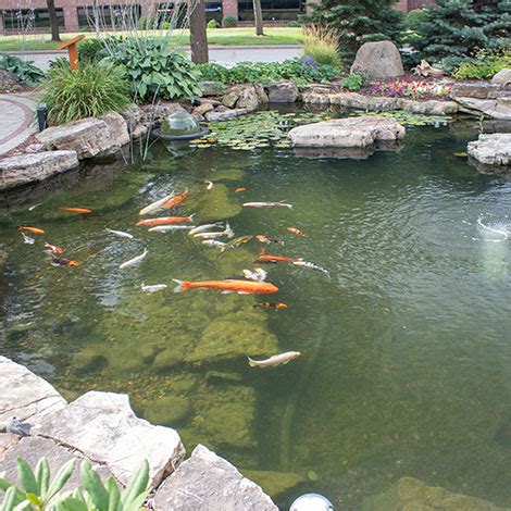 Small Pond Waterfall Ideas - The Pond Guy