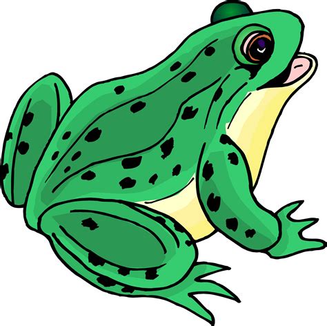 Frogs clipart cartoon, Frogs cartoon Transparent FREE for download on ...