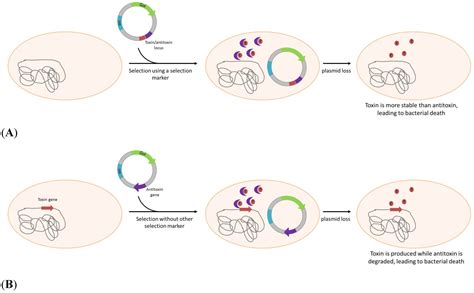 Pathogens | Free Full-Text | Antibiotic-Free Selection in ...