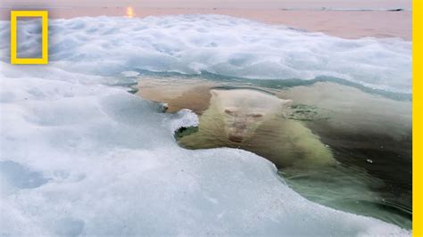 Choosing the Year's Best Pictures: 2013 Photo Contest | National ...