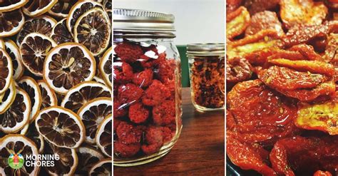 47 Perfectly Delicious Dehydrator Recipes You Will Want to Try