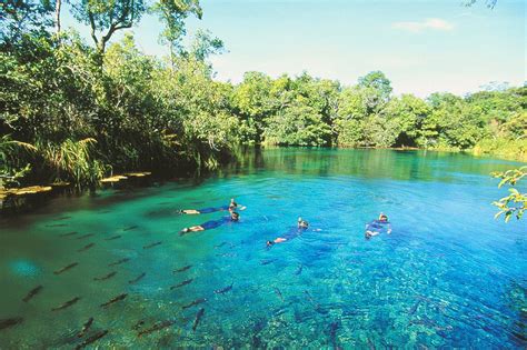 Rio da Prata, Bonito, Brazil | Rio da Prata, Bonito, Brazil | Beaches ...