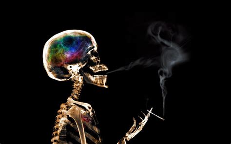 1761x991px | free download | HD wallpaper: skeleton, smoking, skull ...