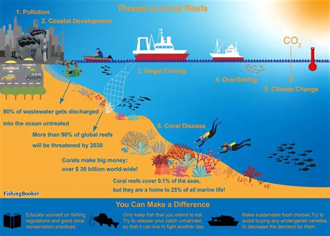 Coral Reef Conservation: A Treasure Worth Saving (Updated 2023)