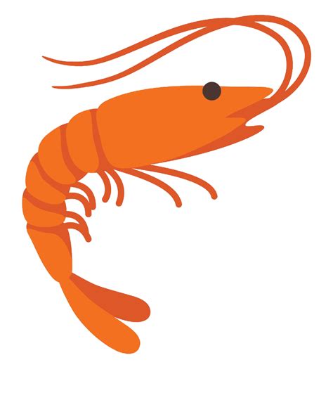 Shrimp PNG Transparent Images