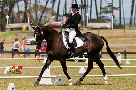 Eventing: dressage – Equestrianism and horse sports – Te Ara ...