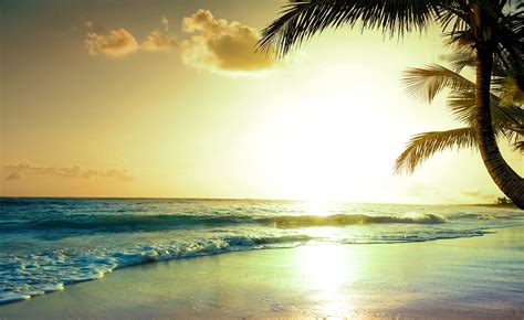 Tropical Beach Sunset 4k, HD Nature, 4k Wallpapers, Images, Backgrounds ...