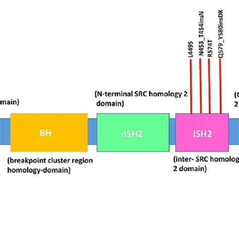 Structure of PTEN gene and occurrence of mutations in exons (PBD: a ...