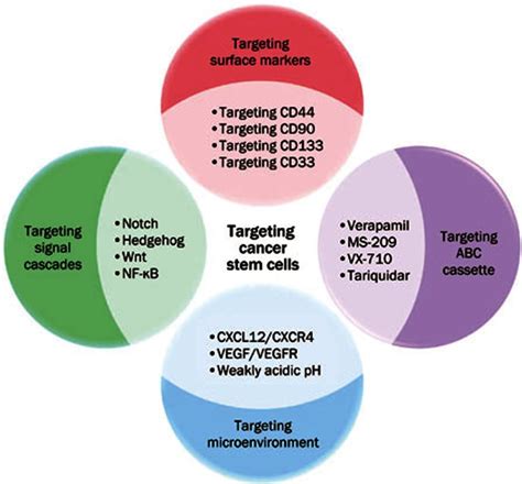 Cancer Stem Cells Therapy - CancerWalls