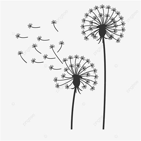 Black And White Dandelion Clipart Flower, Flower Drawing, Lion Drawing ...