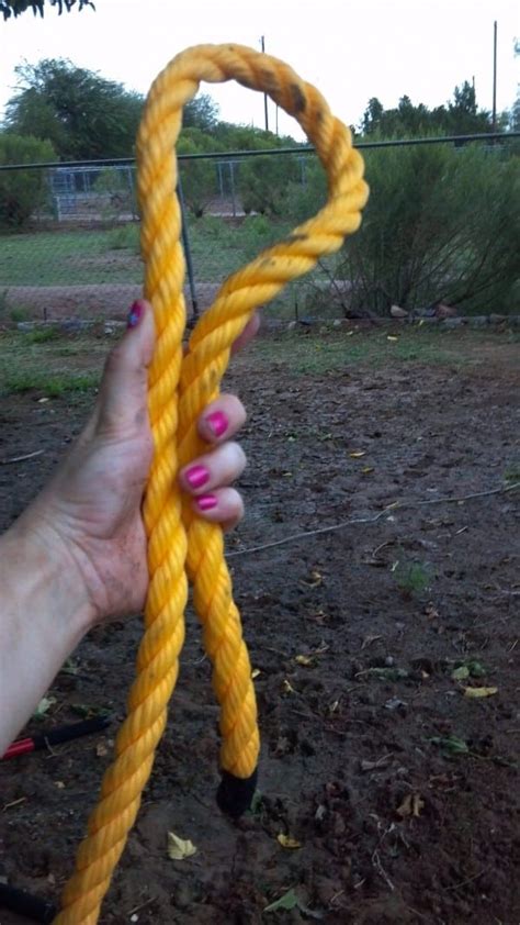 DIY One Rope Tree Swing - TeeDiddlyDee