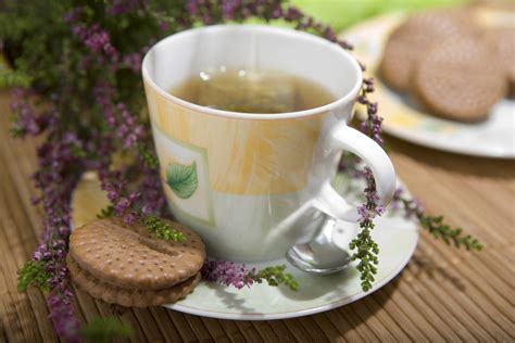 morning tea Free Photo Download | FreeImages