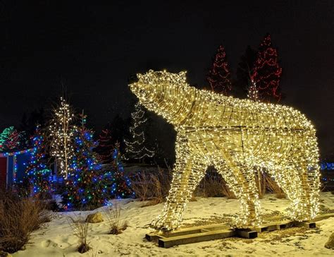 Exciting new Zoo Lights Festival opens in Winnipeg | bdnmb.ca Brandon MB