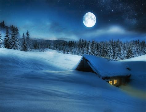 Winter Night Snow